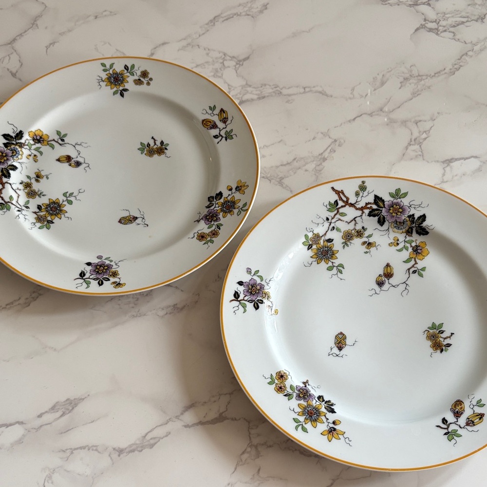 Haviland France Plate Set vintage 1907